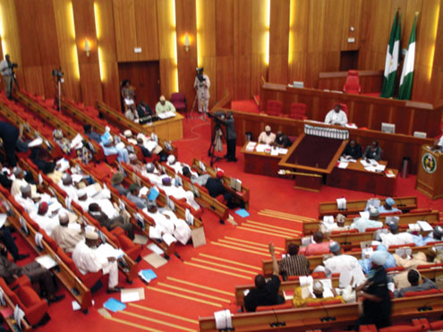 No money for constituency projects this year - SGF tells Senators