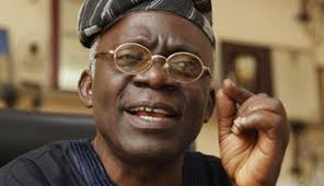 Peace Corps must be allowed to operate in Nigeria - Falana