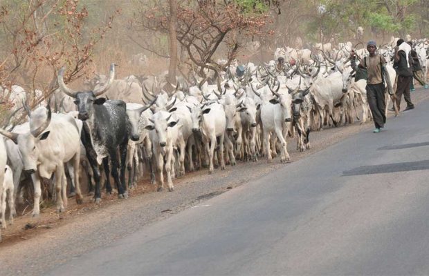 You don't own Benue land - Tiv community fires back at Fulani herdsmen