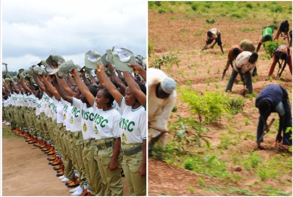 NYSC to start posting corpers to farms