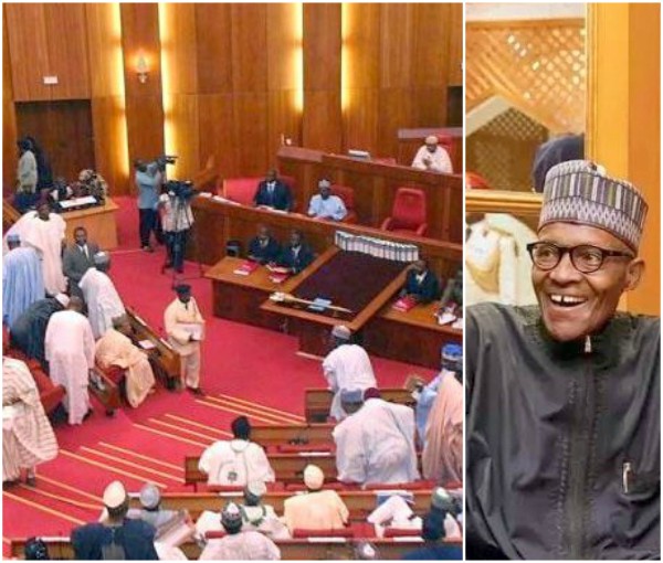 Senate finally passes Buhari's anti-corruption bill