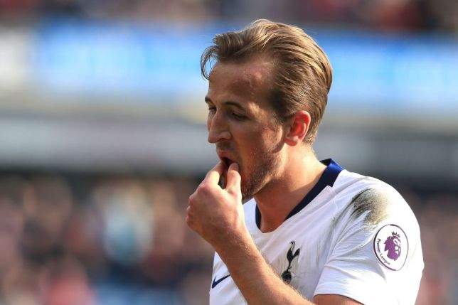 Ibrahimovic reveals why Kane should dump Tottenham