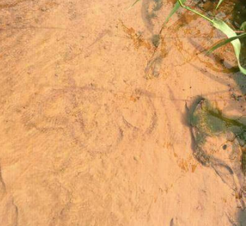 Man Claims Allah's Name Appeared In A Flowing River In Ogun