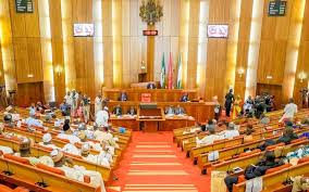 Senate rejects devolution of powers, backs financial autonomy for state Assemblies