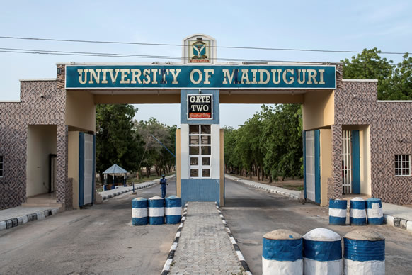 Boko Haram attacks: 70 lecturers quit UNIMAID