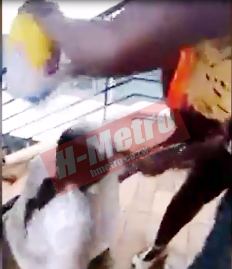 Boyfriend Snatcher? Female Banker Publicly Humiliated as Two Ladies Splashed Flour & Oil on Her (Photos)