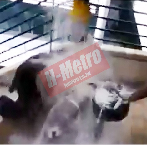 Boyfriend Snatcher? Female Banker Publicly Humiliated as Two Ladies Splashed Flour & Oil on Her (Photos)