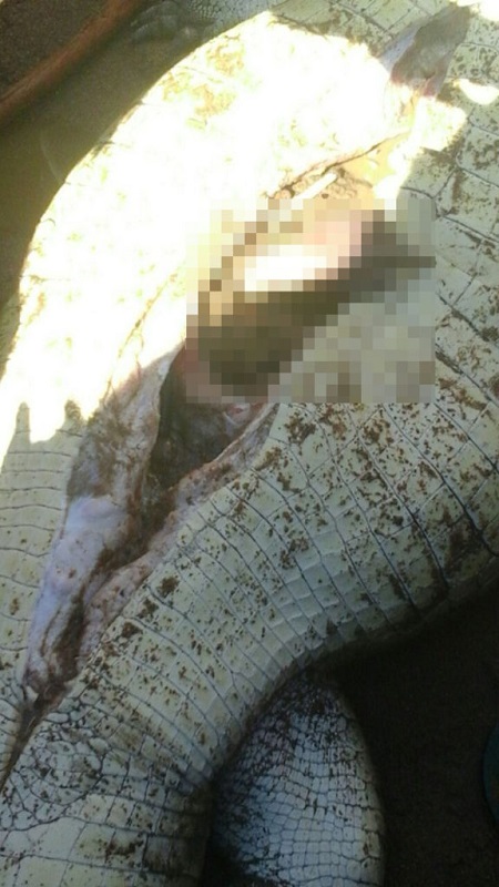 Horror! Commotion Strikes Village as 8-year-old Boy is Eaten Whole by Crocodile (Photos)