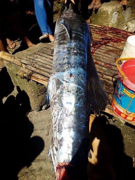 Unbelievable: See the Fish Caught With 'Tattoos' On Its Body in Philippines (Photos)