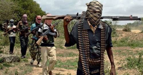 Breaking: Boko Haram Beheads Four IDPs In Dalori-1 Camp, Maiduguri