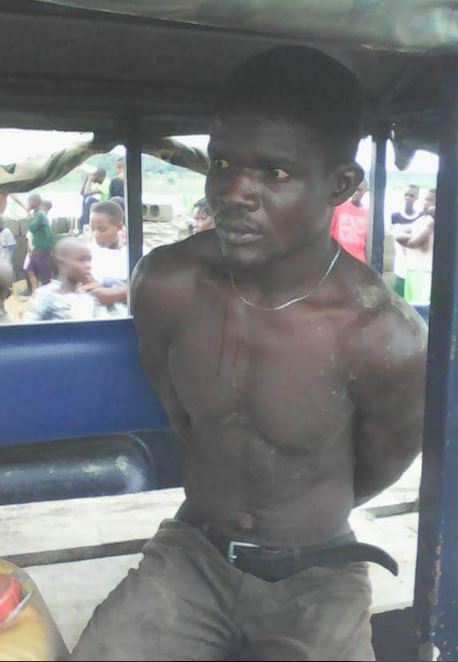 Plantain%20thief3