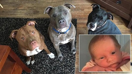 See the 3-week-old Baby Who Got Bitten to Death After Being Left Alone With the Family's Three Pitbulls