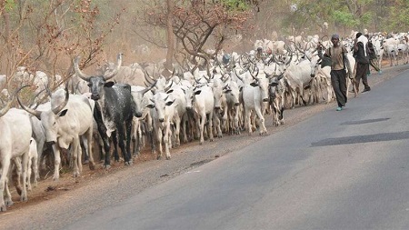 Shocking: How Fulani Herdsmen Kidnapped and Killed Their Own Colleague in Ogun