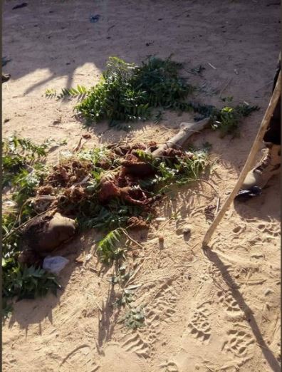 Female Suicide Bomber Cries in Borno After Being Nabbed (Photos)