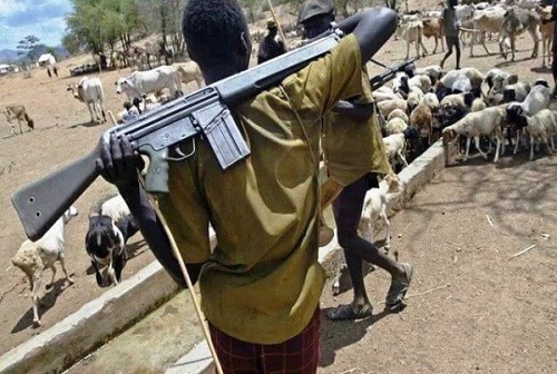 Several People Injured After Fulani Herdsmen Attacked Oyo Community Accusing Them of Poisoning Their Cows