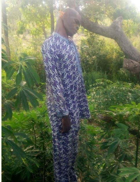 See Corpse of Kogi Civil Servant Who Committed Suicide Hanging On Tree (Photo)