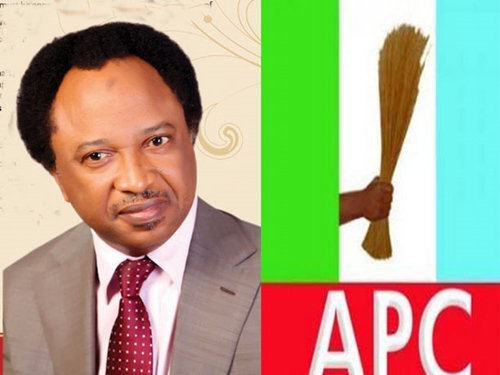 Cabal Allegedly Brought in Maina to Replace Babachir - Senator Shehu Sani Alleges
