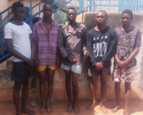 See the Deadly Suspected Armed Robbers and Cultists Nabbed in Benue State (Photos)