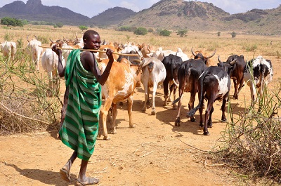Middle Belt Youths Give Herdsmen Quit Notice to Vacate Region Before October 1