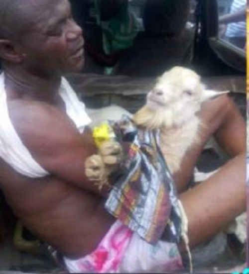 Oh No! See How a Suspected Thief was Disgraced in Public for Stealing a Goat in Akure (Photos)