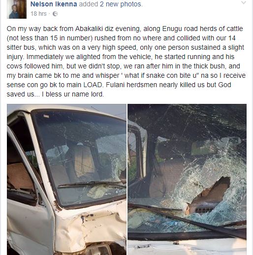 NYSC Member Survives After Car He was Traveling in Collided with Fulani Herdsmen and Their Cattles (Photos)