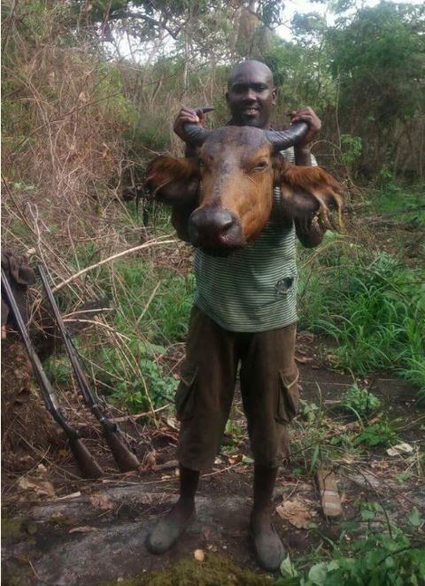 Edo Hunter Becomes Popular after Killing Huge Buffalo (Photos)