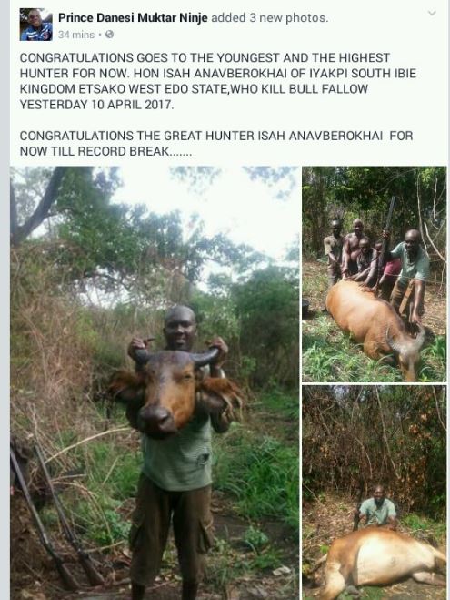 Edo Hunter Becomes Popular after Killing Huge Buffalo (Photos)