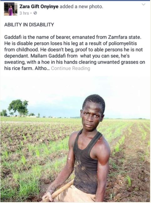 Photos: Crippled Man Working on His Rice Farm in Zamfara