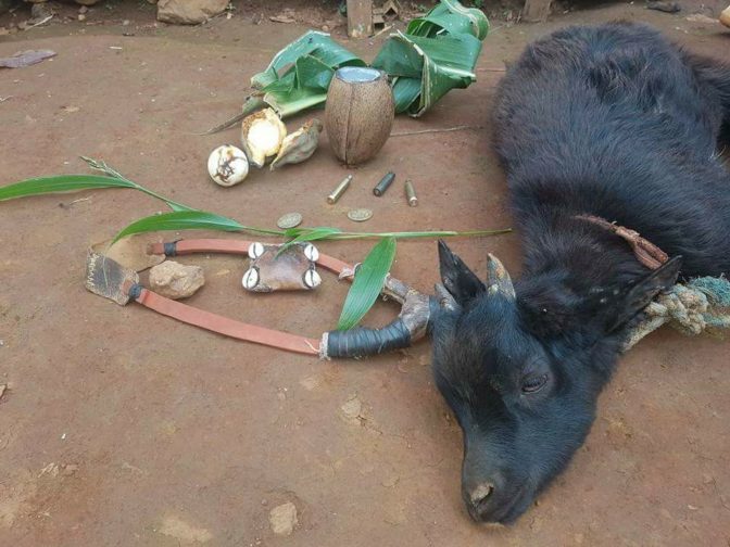 African Juju : Young Men Sacrifice He- goat To Make It Impossible For Bullet To Penetrate Their Bodies ( Photos )