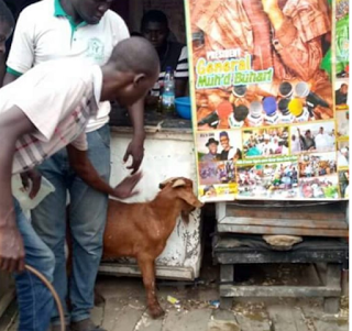 Suya Seller Shares Free Goat Meat To Celebrate Buhari's Return (Photos)