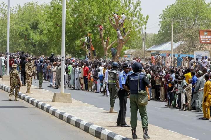 Yobe residents climb trees just to see President Buhari during his sympathy visit. (Photos)