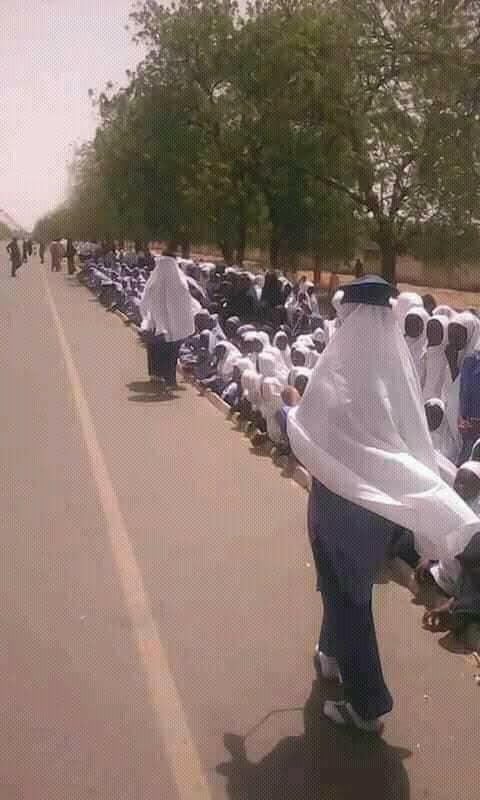 Yobe residents climb trees just to see President Buhari during his sympathy visit. (Photos)