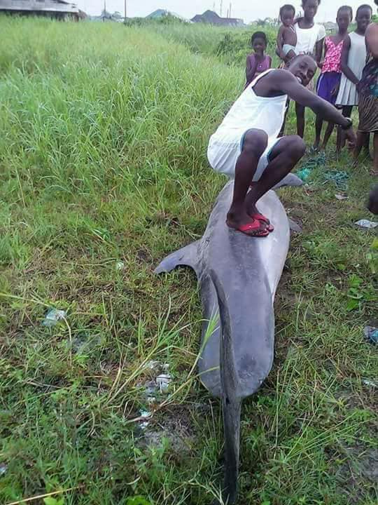 Man poses with the dolphin he killed in Akwa Ibom State (photos)