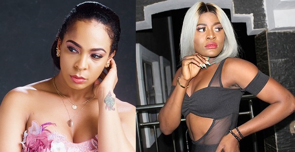 TBoss replies follower who said Alex has more followers than her on Instagram