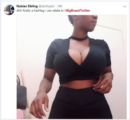 Nigerian ladies join #BigBreastTwitter trend and there are absolute big things to see (Photos)