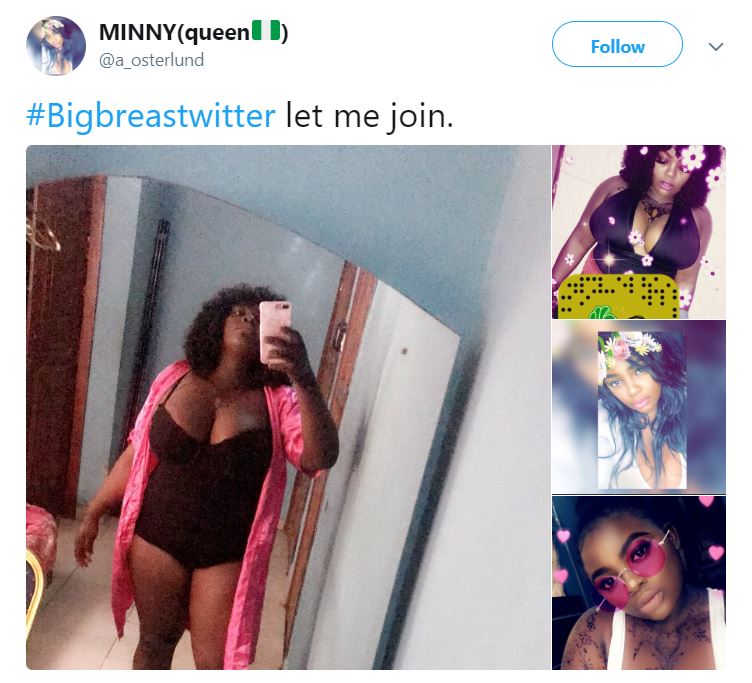 Nigerian ladies join #BigBreastTwitter trend and there are absolute big things to see (Photos)