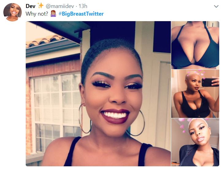 Nigerian ladies join #BigBreastTwitter trend and there are absolute big things to see (Photos)