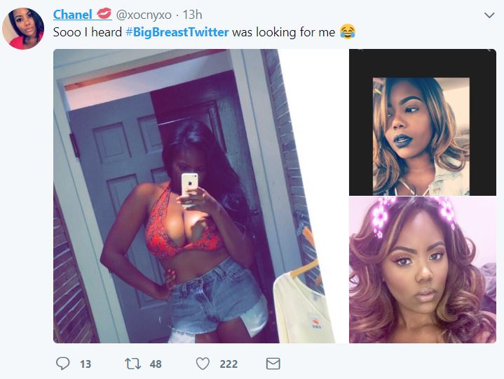 Nigerian ladies join #BigBreastTwitter trend and there are absolute big things to see (Photos)