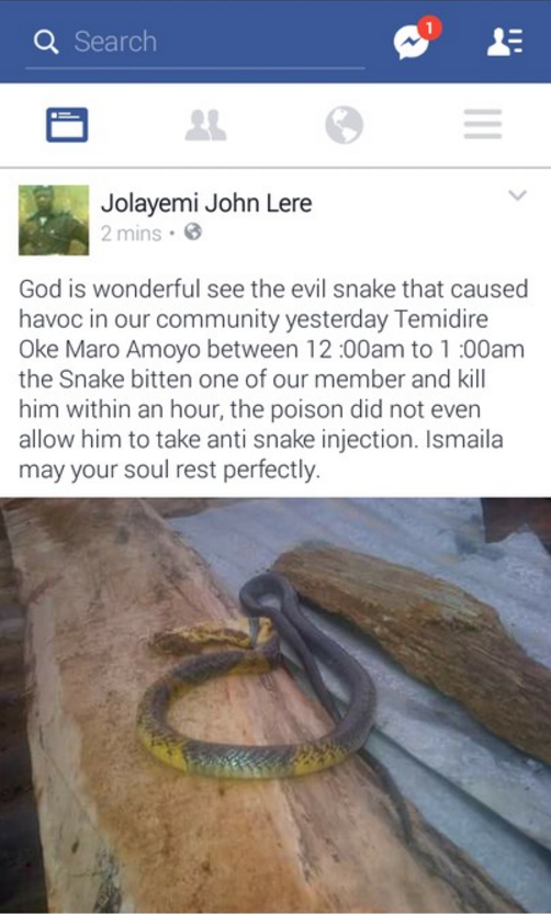 See The Snake That Killed A Man In Kwara State (Photos)