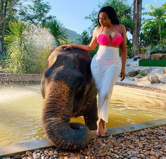 Chika Ike flaunts bikini body as she poses with an Elephant in Thailand