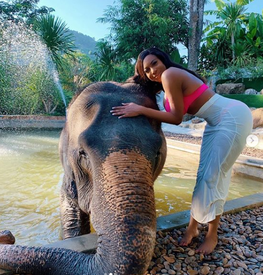 Chika Ike flaunts bikini body as she poses with an Elephant in Thailand