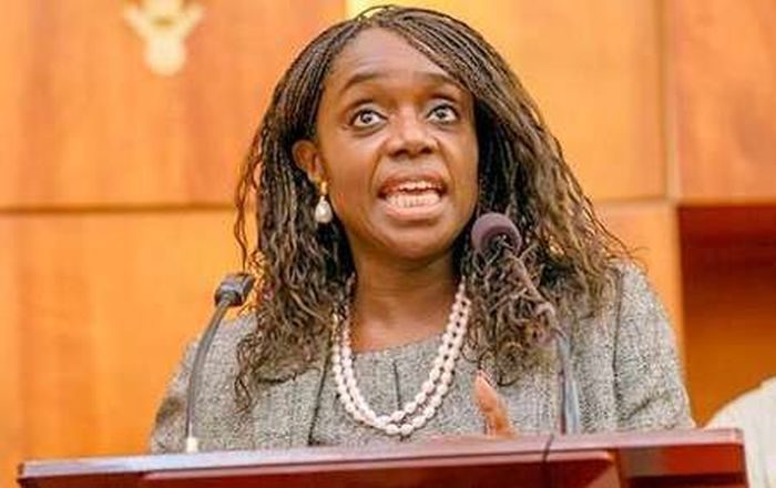 We Must Borrow More To Deliver Infrastructure - Finance Minister