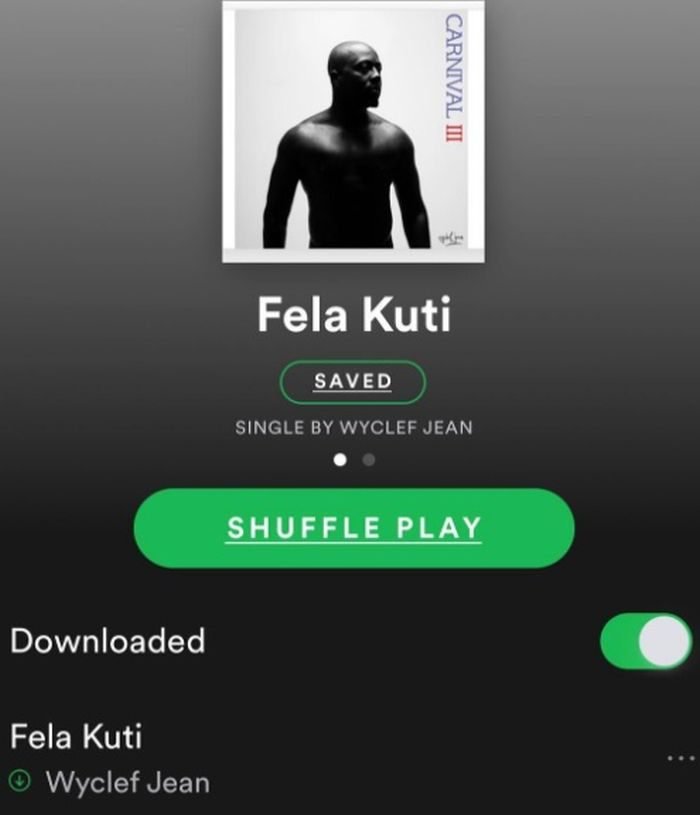 Why I Named My New Single 'Fela Kuti' - Wyclef Jean Opens Up