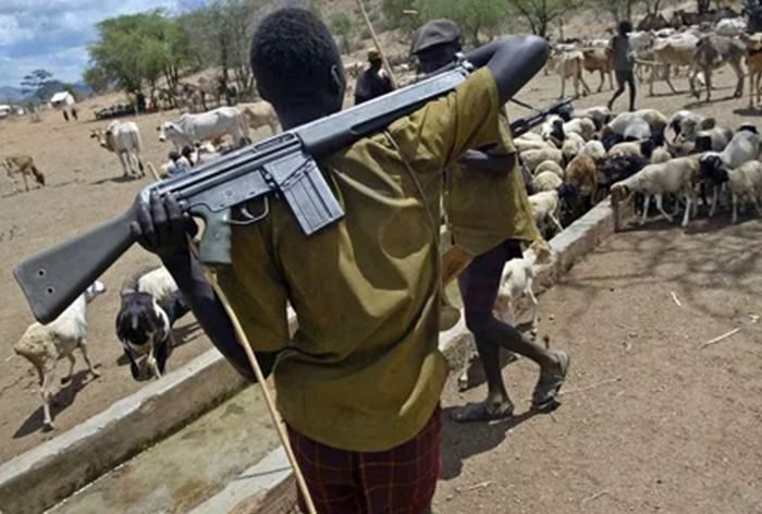Just In! Suspected Herdsmen Attack Villages In Adamawa
