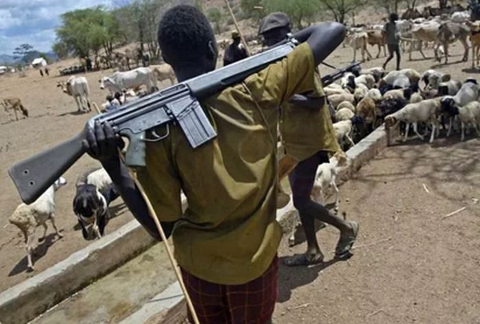 Fulani Herdsmen Shoot NAF Fighter Jet In Adamawa