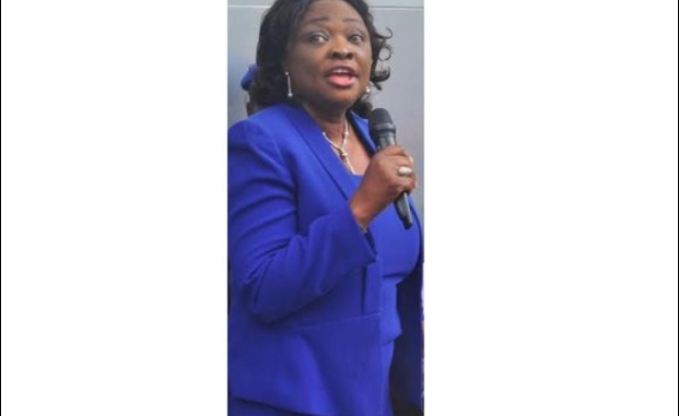 Women Are The Cause Of Domestic Violence - Lagos Commissioner For Women Affairs