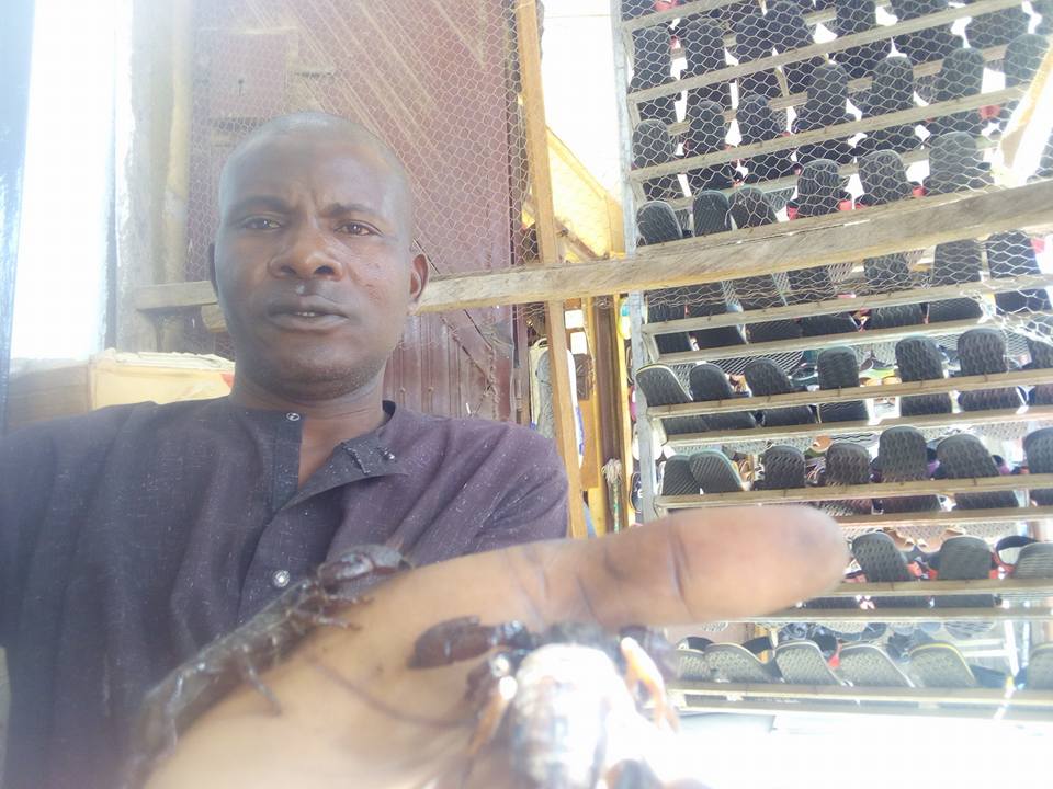 Man Poses With His Pets, A Python And Scorpions In Borno State (Photos)