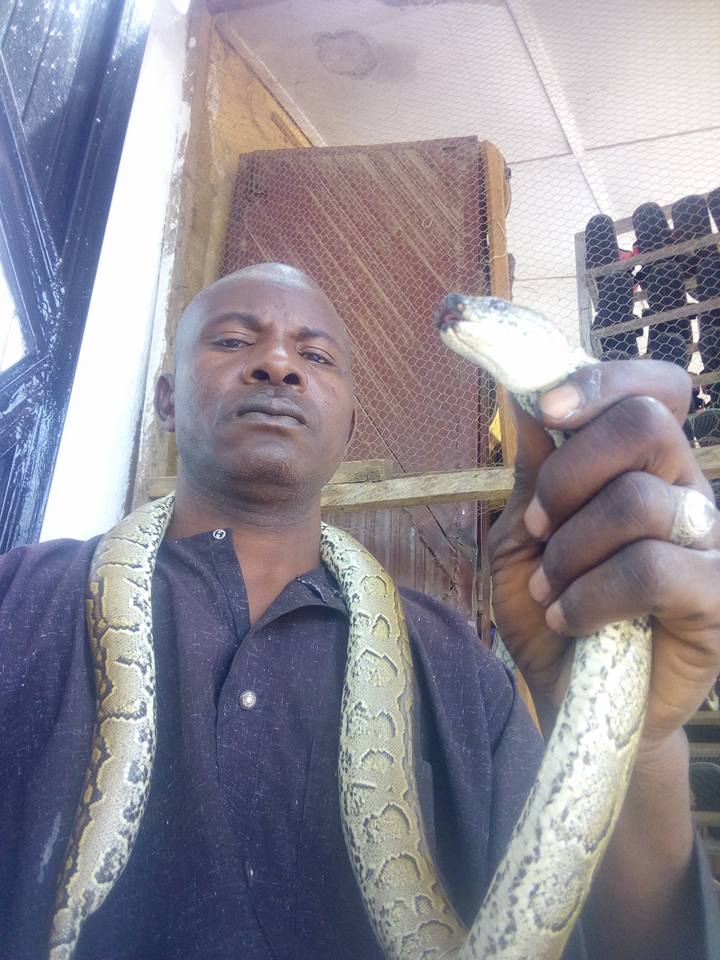 Man Poses With His Pets, A Python And Scorpions In Borno State (Photos)