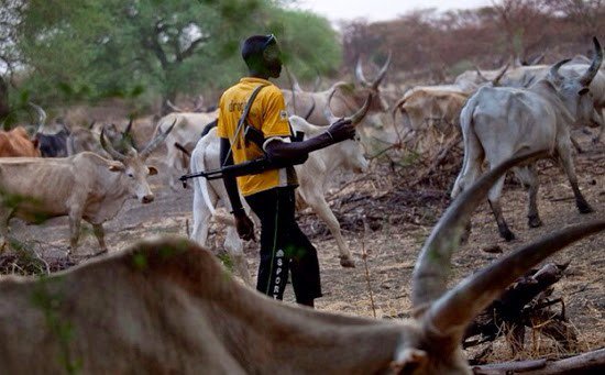 SEE What Fulani Herdsmen Did After Meeting With Police In Niger