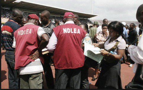 NDLEA Arrests Mother With 40kg Of Cannabis (Details)